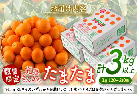 先行予約 完熟きんかん たまたま 計3kg以上 (1kg×3箱) 希少 期間限定 数量限定 フルーツ 果物 くだもの 柑橘 金柑 国産 食品 大粒 宮崎ブランド おすすめ デザート おやつ ギフト 贈り物 贈答 お返し お祝い おすそ分け 産地直送 日南市 送料無料_CC30-23 1kg×3箱
