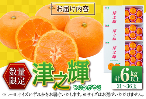 先行予約 津之輝 つのかがやき 6kg以上 (2kg×3箱) 希少 期間限定 数量限定 フルーツ 果物 くだもの 柑橘 みかん 令和8年発送 国産 食品 おすすめ デザート おやつ みかんジュース フルーツサンド ギフト 贈り物 贈答 おすそ分け 宮崎県 日南市 送料無料_D90-24 6kg以上 (2kg×3箱)