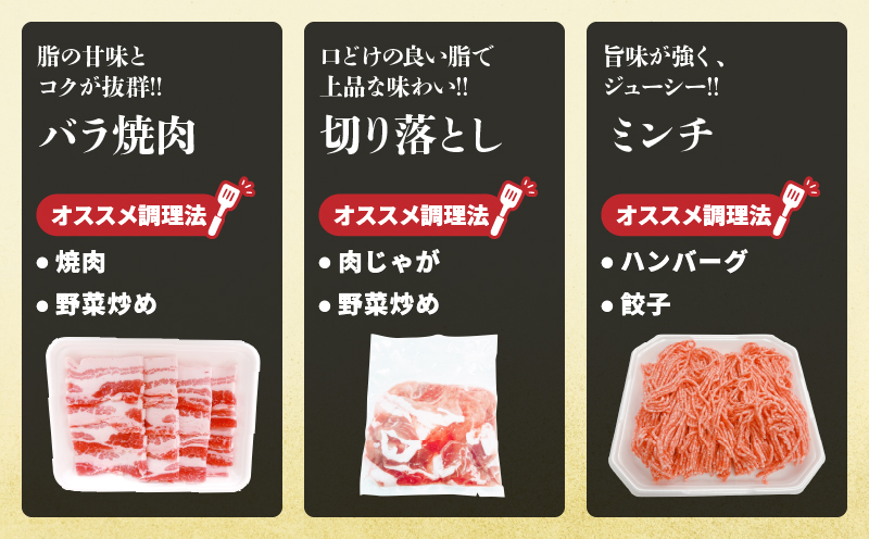 宮崎県産 豚肉 5種 セット (合計3kg) 国産 食品 豚バラ 切り落とし ロース スライス ミンチ 焼肉 BBQ しゃぶしゃぶ 生姜焼き とんかつ ソテー 豚丼 ハンバーグ 個包装 小分け おすすめ おかず お弁当 晩ご飯 手軽 便利 ギフト 贈り物 冷凍 日南市 送料無料_CC69-25