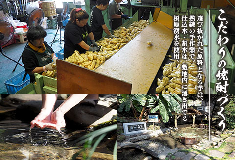 本格焼酎 飫肥杉 原酒 孤独な天使 飲み比べ セット 合計2本 アルコール 飲料 国産 お酒 地酒 晩酌 芋焼酎 デーツ焼酎 貯蔵熟成 宅呑み 家呑み 希少 ストレート ロック ソーダ割 人気 おすすめ 詰め合わせ お取り寄せ お祝 記念日 宮崎県 日南市 送料無料_CD45-23