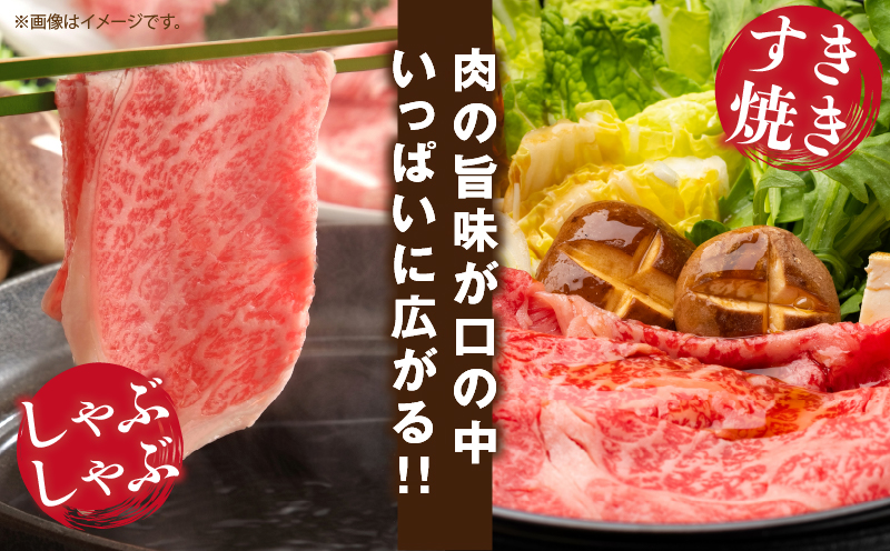 宮崎県産 黒毛和牛 リブロース スライス 計500g 肉 牛肉 ビーフ 国産 薄切り すき焼き すきやき しゃぶしゃぶ 牛丼 肉巻きおにぎり 冷しゃぶ 炒め物 焼肉 おかず 食品 お祝い 記念日 ご褒美 お土産 ギフト 贈り物 贈答 プレゼント 宮崎県 日南市 送料無料_CD54-24