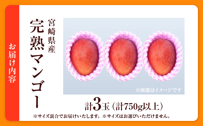 数量限定 宮崎県産 完熟マンゴー 3玉 計750g以上 期間限定 フルーツ スイーツ 果物 くだもの 食品 グルメ デザート 国産 産地直送 人気 おすすめ おやつ 高級 ご褒美 贅沢 贈り物 ギフト プレゼント 令和8年発送分 宮崎県 日南市 送料無料_CD74-25 3玉（計750g以上）