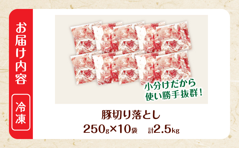 大人気 生冷凍 厳選 豚切り落とし 計2.5kg 国産 食品 豚肉 ぶた ポーク 小分け 個包装 真空パック 便利 大容量 生姜焼き 野菜炒め 豚汁 肉じゃが 豚丼 お弁当 おかず 晩ご飯 おすすめ 使い切りサイズ 万能食材 おすそ分け 宮崎県 日南市 送料無料_CV5-25-2W 【計2.5kg】250g×10袋