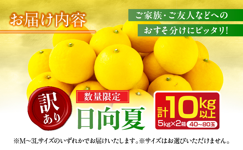 先行予約 訳あり 日向夏 計10kg以上 期間限定 数量限定 果物 フルーツ くだもの 柑橘 みかん 令和8年発送 ジュース フルーツサンド おやつ デザート 国産 食品 おすすめ バラ詰め おすそ分け ご家庭用 手土産 宮崎県 日南市 送料無料_D114-25 計10kg以上