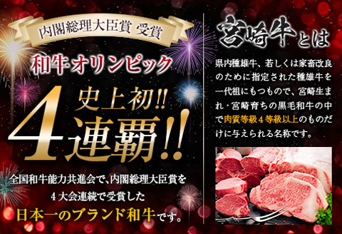 宮崎牛 赤身 焼肉 黒毛和牛 小間切れ セット 合計800g 牛肉 ビーフ 国産 うで もも ブランド牛 人気 おすすめ 万能食材 食品 お取り寄せ グルメ 詰め合わせ 贅沢 ご褒美 お祝い 記念日 おかず 弁当 おつまみ BBQ 鉄板焼き おすそ分け 宮崎県 日南市 送料無料_DA20-23