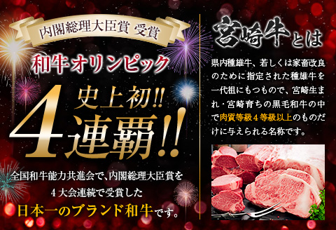 ANA限定 数量限定 宮崎牛 ヒレステーキ 計300g 肉 牛 牛肉 国産 黒毛和牛 ブランド牛 ヒレ ステーキ 人気 赤身_EA12-23