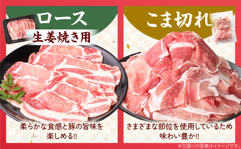 数量限定 宮崎県産 豚肉 バラエティー セット 合計4.1kg 6種 肉 豚肉 国産 食品 小分け 豚バラ ロース 小間切れ こま切れ 食べ比べ 焼肉 しゃぶしゃぶ 生姜焼き 炒め物 豚汁 おかず お弁当 冷凍 おすすめ ギフト 贈り物 贈答 宮崎県 日南市 送料無料_DD14-24