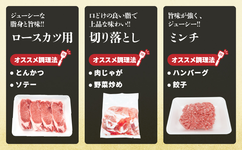 宮崎県産 豚肉 5種 セット (合計5kg) 国産 食品 ロース 豚バラ スライス 切り落とし ミンチ しゃぶしゃぶ 生姜焼き とんかつ ソテー 豚丼 ハンバーグ 餃子 個包装 小分け おすすめ おかず お弁当 晩ご飯 手軽 便利 ギフト 贈り物 冷凍 日南市 送料無料_DC33-25
