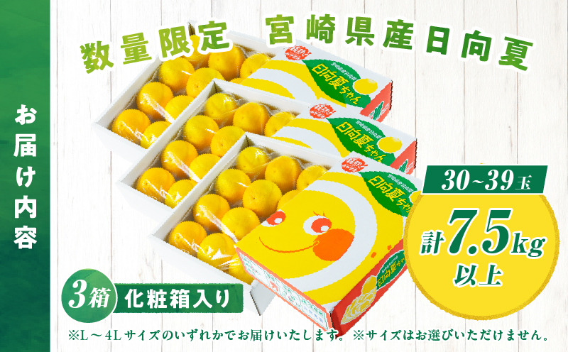 先行予約 日向夏 計7.5kg以上 化粧箱入り 期間限定 数量限定 果物 フルーツ くだもの 柑橘 みかん 令和8年発送 ジュース フルーツサンド おやつ デザート 国産 食品 おすすめ ギフト 贈り物 贈答 おすそ分け お祝い お返し 宮崎県 日南市 送料無料_E43-23 計7.5kg以上