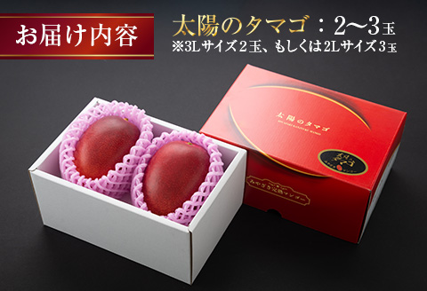 完熟マンゴー 太陽のタマゴ 2玉 ～ 3玉 期間限定 数量限定 マンゴー 宮崎 フルーツ 果物 くだもの 国産 食品 先行予約 2026 令和8年発送 濃厚 デザート おやつ おすすめ 冷蔵 ご褒美 おすそわけ 化粧箱入り ギフト プレゼント 贈り物 贈答 日南市 送料無料_FD13-25