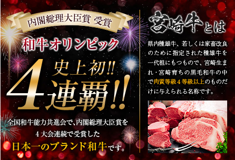【令和8年6月配送】数量限定 超希少 宮崎牛 ヒレステーキ 計360g 牛肉 黒毛和牛 赤身 おすすめ おかず 人気 国産 高級 ステーキ肉 A4 A5 記念日 お祝い 贈り物 プレゼント ギフト 贈答 ご褒美 お取り寄せ ミヤチク ブランド牛 配送月が選べる 宮崎県 日南市 送料無料_ED8-25-06 6月配送