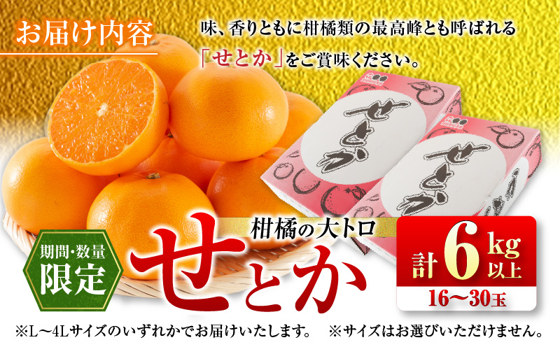 柑橘の大トロ せとか 計6kg以上 先行予約 希少 期間限定 数量限定 フルーツ 果物 くだもの 柑橘 みかん オレンジ 令和8年発送 みかんジュース フルーツサンド 国産 食品 人気 おすすめ デザート おやつ ギフト 贈り物 贈答 宮崎県 日南市 送料無料_FD7-24 計6kg以上
