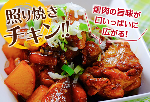 小分けで便利!! 真空パック 数量限定 鶏もも肉 定期便 3か月 お楽しみ 鶏肉 もも 切身 総重量9kg 国産 鳥 チキン カット 人気 小分け おかず お弁当 おつまみ 食品 から揚げ 焼肉 モモ肉 万能食材 大満足 おすそ分け お取り寄せ 宮崎県 日南市 送料無料_GD9-25