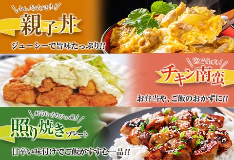 訳あり 数量限定 3か月 お楽しみ 定期便 若鶏 切り身 IQF セット もも肉 むね肉 総重量9.6kg 鶏肉 国産 大容量 万能食材 おかず 食品 チキン から揚げ 焼肉 お弁当 人気 おすすめ お取り寄せ グルメ 詰め合わせ 急速冷凍 定期便 宮崎県 日南市 送料無料_GA4-23