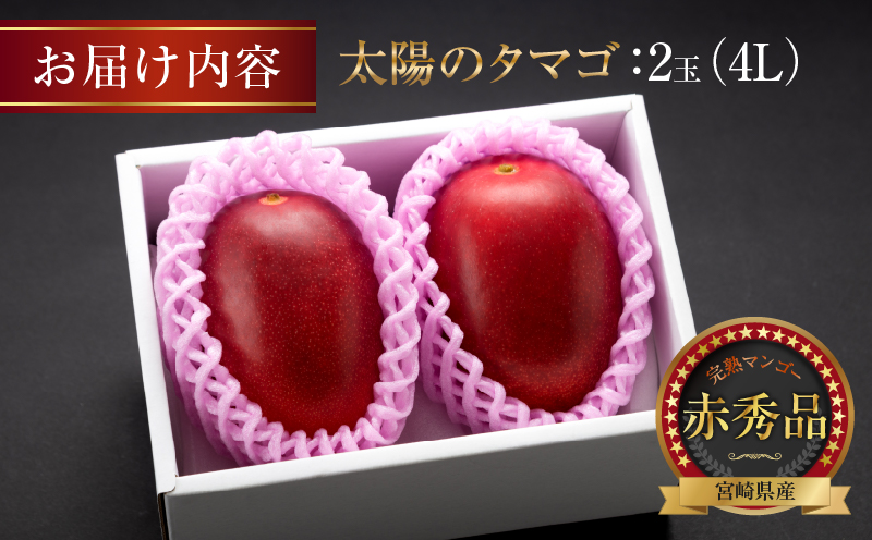 完熟マンゴー 太陽のタマゴ 赤秀品 4L × 2玉 期間限定 数量限定 マンゴー 宮崎 フルーツ 果物 くだもの 国産 食品 先行予約 2026 令和8年発送 濃厚 デザート おやつ おすすめ 冷蔵 ご褒美 贅沢 おすそわけ 化粧箱入り ギフト 贈り物 贈答 日南市 送料無料_H7-191