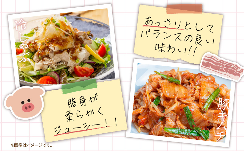 数量限定 6か月 お楽しみ 定期便 小分けで便利 豚 切り落とし 総重量18kg お肉 豚肉 国産 小分け 真空パック 個包装 万能食材 おすすめ おかず 食品 お弁当 豚丼 しゃぶしゃぶ お祝い 記念日 宮崎県 日南市 送料無料_KD1-24