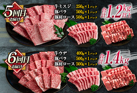 数量限定 6か月 お楽しみ 定期便 宮崎牛 豚肉 焼肉 セット 総重量8kg以上 牛肉 ビーフ ポーク 黒毛和牛 ミヤチク モモ バラ 肩ロース ミスジ ウデ 豚バラ BBQ 鉄板焼き 食べ比べ 国産 食品 おかず お弁当 冷凍 お取り寄せ グルメ 宮崎県 日南市 送料無料_N8-25