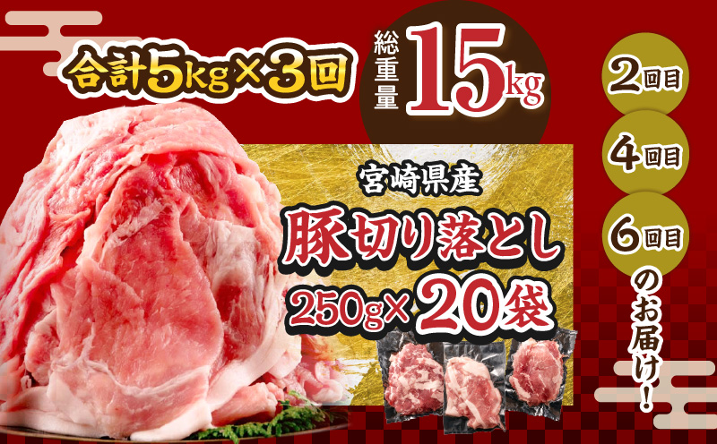 数量限定 6か月 お楽しみ 定期便 豚肉 鶏肉 ミンチ 豚 切り落とし セット 総重量30kg 6回 国産 おかず 食品 ひき肉 挽肉 万能食材 鍋 つくね ハンバーグ 豚丼 お祝 記念日 おすすめ お弁当 おつまみ 小分け 個包装 冷凍 おすそ分け 宮崎県 日南市 送料無料_MH2-24
