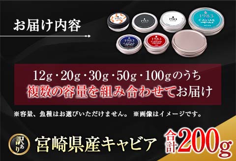 訳あり 数量限定 5つ星ホテル採用 宮崎県産 キャビア 詰め合わせ セット 合計200g 魚卵 魚介 魚貝 国産 熟成 新鮮 高級 希少 食品 三大珍味 黒いダイヤ おすすめ 水産物 おつまみ ご褒美 お祝い 記念日 パーティー 日南市 送料無料_XF1-25