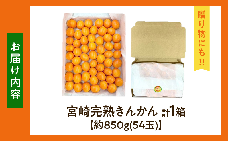 【1週間以内発送】ゴトウさんの 宮崎 完熟 きんかん 約850g(計54玉) 期間限定 フルーツ 果物 くだもの 金柑 柑橘 青果 キンカン 国産 食品 人気 おすすめ ギフト 贈り物 贈答 おすそ分け お礼 新鮮 産地直送 高糖度 甘い 選べる 宮崎県 日南市 送料無料_ZX12-25 約850g(54玉)寄附額6,000円
