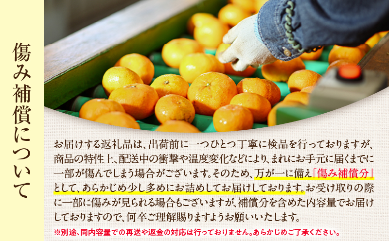 訳あり ネイバーフッド 温州みかん 計8kg以上 傷み補償分入り 期間限定 数量限定 フルーツ 果物 くだもの ミカン 柑橘 オレンジ 人気 国産 食品 デザート おやつ おすすめ 産地直送 ご家庭用 おすそ分け 特産品 宮崎県 日南市 送料無料_BB154-25 計8kg以上
