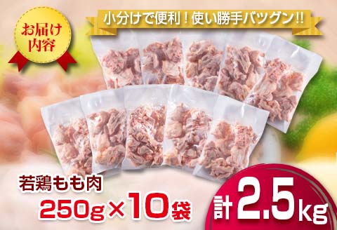小分け 便利 カット済 若鶏 もも肉 計2.5kg 250g × 10袋 鶏肉 国産 おかず お弁当 おつまみ 食品 IQF冷凍 バラバラ凍結 チキン 簡単調理 から揚げ 唐揚げ 親子丼 チキンカレー 人気 おすすめ グルメ おすそ分け お取り寄せ 大容量 宮崎県 日南市 送料無料_BD115-25