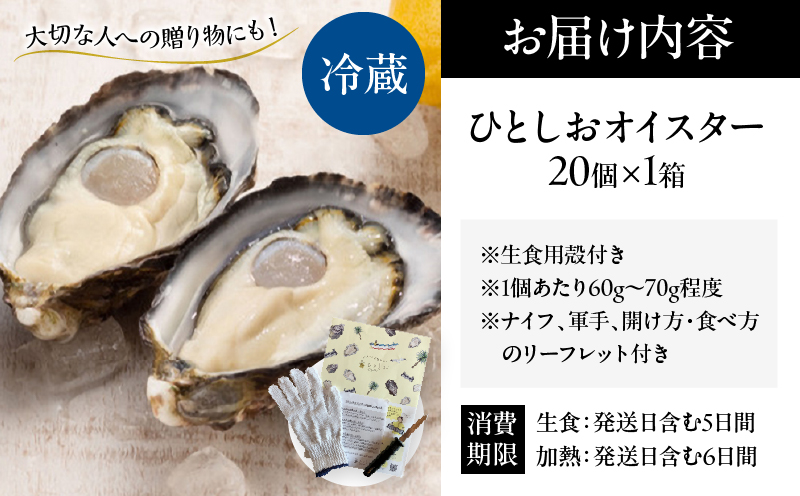 数量限定 宮崎県産 ブランド 牡蠣 ひとしおオイスター 計20個 魚介 魚貝 かき 生食用 殻付き 国産 おかず おつまみ 食品 海鮮 海産物 シーフード BBQ バーベキュー アウトドア グランピング 海の幸 養殖 絶品 贅沢 ご褒美 お取り寄せ グルメ 日南市 送料無料_CB81-23