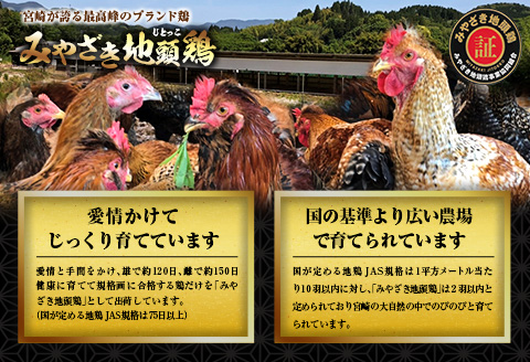6種類 具材入り みやざき地頭鶏 つみれ 鍋 セット 4 ～ 5人前 数量限定 鶏肉 チキン 国産 食品 地鶏 もも むね 手羽元 手羽先 ウインナー 鍋つゆ ブランド鶏 ご褒美 真空冷凍 おすすめ 贈り物 ギフト プレゼント お取り寄せ グルメ 宮崎県 日南市 送料無料 はなまる和農場_DA21-23