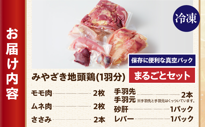 数量限定 みやざき地頭鶏 1羽まるごとセット 肉 鶏肉 国産 食品 小分け 食べ比べ もも むね ささみ 手羽先 手羽元 砂肝 レバー おかず おつまみ お弁当 晩ご飯 から揚げ サラダ 真空パック 冷凍 おすすめ ギフト 贈り物 贈答 宮崎県 日南市 送料無料_DC22-24