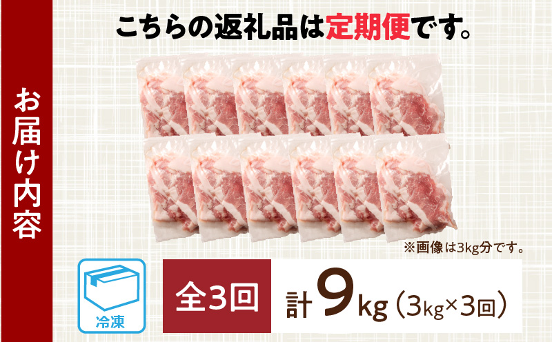 数量限定 3か月 お楽しみ 定期便 小分けで便利 豚 切り落とし 総重量9kg お肉 豚肉 国産 小分け 真空パック 個包装 万能食材 おすすめ おかず 食品 お弁当 豚丼 しゃぶしゃぶ お祝い 記念日 宮崎県 日南市 送料無料_GB3-24
