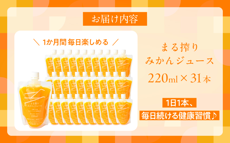 果汁 100％ まる搾り みかん ジュース 220ml×31本 機能性表示食品 飲料 ソフトドリンク 果物 フルーツ 柑橘 ミカン シャーベット 国産 人気 おすすめ ギフト おすそ分け お土産 贈り物 プレゼント お取り寄せ 宮崎県 日南市 送料無料_GB5-24 220ml×31本