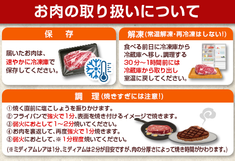 3か月 お楽しみ 定期便 宮崎牛 特選 ステーキ 総重量2.2kg 牛肉 黒毛和牛 ミヤチク ロース モモ ミスジ 国産 おかず 食品 焼肉 BBQ グルメ 人気 おすすめ 赤身 霜降り 希少部位 贅沢 高級 ご褒美 お祝 記念日 ブランド牛 お取り寄せ 宮崎県 日南市 送料無料_JB3-25