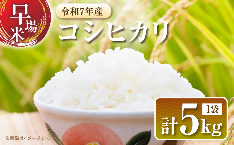 2週間以内に発送 早場米 令和7年産 コシヒカリ 計5kg 米 期間限定 日南市産 お米 ご飯 ライス 国産 人気 食品 精米 白米 こしひかり 有洗米 おすすめ おにぎり お弁当 炊き込みご飯 雑炊 ギフト 贈り物 産地直送 宮崎県 日南市 送料無料_CA79-25 計5kg