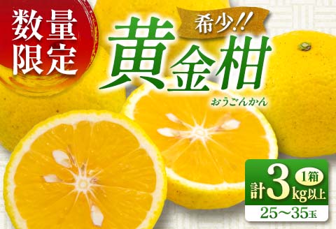 先行予約 新感覚シトラス 黄金柑 おうごんかん 計3kg以上 令和8年発送 期間限定 数量限定 希少 果物 くだもの フルーツ 国産 食品 柑橘 みかん 蜜柑 ゴールデンオレンジ デザート おやつ おすすめ おすそ分け 手土産 ギフト 贈り物 宮崎県 日南市 送料無料_AAV8-25