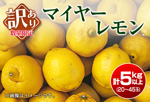 訳あり 数量限定 マイヤーレモン 計5kg以上 フルーツ 果物 柑橘 レモン 檸檬 オレンジ 人気 おすすめ おすそ分け お土産 プレゼント お取り寄せ グルメ 国産 食品 デザート スイーツ ブランド 希少 特産品 産地直送 宮崎県 日南市 送料無料_A89-23 計5kg以上(20～45玉)