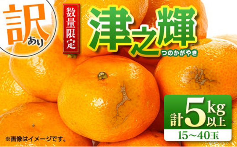 先行予約 訳あり 津之輝 つのかがやき 5kg以上 (5kg×1箱) 希少 期間限定 数量限定 フルーツ 果物 くだもの 柑橘 みかん 令和8年発送 国産 食品 おすすめ デザート おやつ みかんジュース フルーツサンド ご家庭用 おすそ分け 宮崎県 日南市 送料無料_BB86-23 5kg以上 (5kg×1箱)