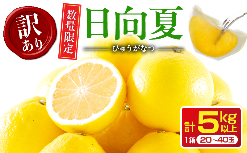 先行予約 訳あり 日向夏 計5kg以上 期間限定 数量限定 果物 フルーツ くだもの 柑橘 みかん 令和8年発送 ジュース フルーツサンド おやつ デザート 国産 食品 おすすめ バラ詰め おすそ分け ご家庭用 手土産 宮崎県 日南市 送料無料_BB98-23 計5kg以上