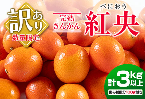 先行予約 訳あり 完熟 きんかん 紅央 計3kg以上 傷み補償分入り 数量限定 期間限定 訳アリ フルーツ 果物 くだもの 柑橘 金柑 おすすめ おすそ分け 国産 食品 デザート ブランド 希少 ご家庭用 ご自宅用 お取り寄せ 特産品 産地直送 宮崎県 日南市 送料無料_BAV7-25
