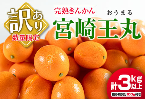 先行予約 訳あり 完熟 きんかん 宮崎王丸 計3kg以上 傷み補償分付き 数量限定 期間限定 フルーツ 果物 くだもの 柑橘 金柑 訳アリ おすすめ おすそ分け ご家庭用 ご自宅用 お取り寄せ 国産 食品 デザート おやつ 甘露煮 産地直送 宮崎県 日南市 送料無料_B245-25