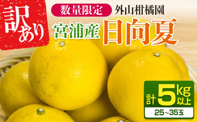 先行予約 訳あり 宮浦産 日向夏 計5kg以上 期間限定 数量限定 フルーツ 果物 くだもの 柑橘 みかん 令和8年発送 国産 産地直送 新鮮 食品 ジュース デザート フルーツサンド おやつ ご褒美 おすそ分け ご家庭用 宮崎県 日南市 送料無料_AAV12-25 計5kg以上
