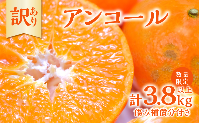 先行予約 訳あり アンコール 計3.8kg以上 傷み補償分付き 令和8年発送 期間限定 数量限定 フルーツ 果物 くだもの みかん オレンジ ジュース 柑橘 国産 食品 不揃い 傷 規格外 訳アリ 家庭用 おすそ分け おすすめ デザート おやつ 宮崎県 日南市 送料無料_AAV3-25