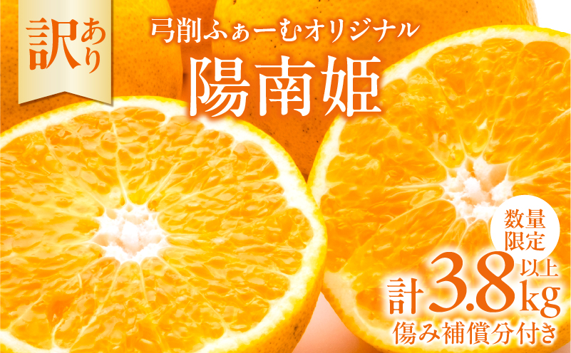 先行予約 訳あり オリジナル ブランド 陽南姫 計3.8kg以上 傷み補償分入り 令和8年発送 期間限定 数量限定 フルーツ 果物 くだもの 柑橘 みかん 訳アリ 家庭用 不揃い 傷 規格外 国産 食品 デザート ジュース おやつ 希少 おすすめ 宮崎県 日南市 送料無料_AAV4-25