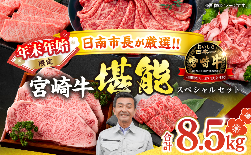 ≪年末年始限定≫日南市長厳選!! 宮崎牛 堪能 セット 合計8.5kg 期間限定 数量限定 肉 牛肉 ステーキ 焼肉 スライス すき焼き しゃぶしゃぶ ロース バラ ウデ モモ 大容量 黒毛和牛 国産 赤身肉 霜降り 食べ比べ 牛丼 おすすめ A4 A5 最高級 宮崎県 送料無料_AG4-25 合計8.5kg　寄附額300,000円