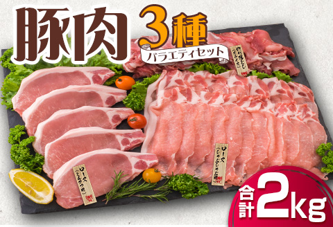 豚肉 3種 バラエティ セット 合計2kg 国産 宮崎県産 ポーク 豚ロース 切り落とし スライス おかず お弁当 おつまみ 食品 グルメ しゃぶしゃぶ とんかつ用 万能食材 焼肉 詰め合わせ 小分け 人気 おすすめ お取り寄せ おすそ分け 日南市 ミヤチク 送料無料_BB120-23