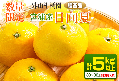 先行予約 宮浦産 日向夏 計5kg以上 化粧箱入り 期間限定 数量限定 フルーツ 果物 くだもの 柑橘 みかん 令和8年発送 国産 産地直送 新鮮 食品 ジュース デザート おやつ ギフト 贈り物 贈答 お返し お礼 手土産 ご褒美 おすそ分け 宮崎県 日南市 送料無料_BB165-25