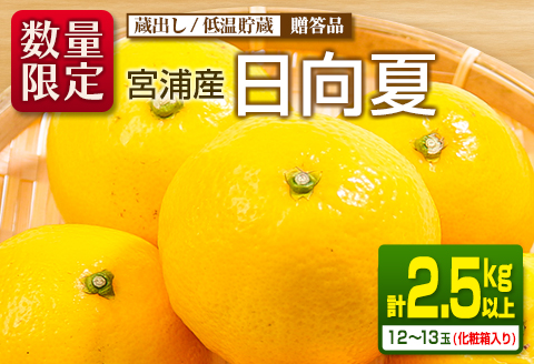 先行予約 宮浦産 蔵出し 日向夏 計2.5kg以上 化粧箱入り 期間限定 数量限定 フルーツ 果物 くだもの 柑橘 みかん 令和8年発送 国産 産地直送 新鮮 食品 ジュース デザート おやつ ギフト 贈り物 贈答 お返し お礼 手土産 おすそ分け 宮崎県 日南市 送料無料_BC130-25