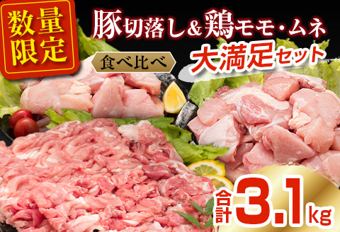 数量限定 豚肉 切り落とし 鶏肉 モモ ムネ セット 合計3.1kg 国産 食品 ポーク チキン おかず 人気 大容量 万能食材 焼肉 から揚げ 炒め物 お弁当 おつまみ 詰め合わせ 食べ比べ 小分け 便利 おすすめ グルメ お取り寄せ おすそ分け 宮崎県 日南市 送料無料_C146-25