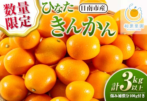 ひなたきんかん 計3kg以上 傷み補償分入り 数量限定 期間限定 フルーツ 果物 柑橘 金柑 みかん 人気 おすすめ おすそ分け お土産 プレゼント お取り寄せ グルメ 国産 食品 デザート スイーツ おやつ ブランド 特産品 産地直送 宮崎県 日南市 送料無料_BB160-25