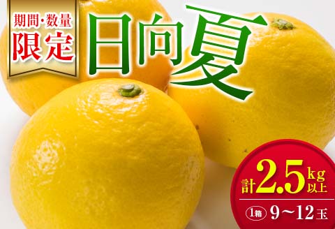 毎年大好評!!宮崎を代表するフルーツ 日向夏 計2.5kg以上 化粧箱入り 期間限定 数量限定 先行予約 2026 令和8年発送 果物 くだもの 柑橘 みかん みかんジュース デザート 国産 食品 おすすめ ギフト 贈り物 贈答 おすそ分け お祝い 宮崎県 日南市 送料無料_B214-23