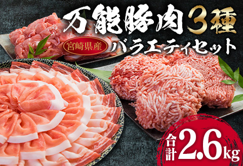 万能 豚肉 3種 バラエティ セット 合計2.6kg 国産 ポーク 食品 豚ロース 豚バラ 豚切り落とし 豚ミンチ ひき肉 豚肩 おかず お弁当 おつまみ 焼肉 しゃぶしゃぶ ハンバーグ 炒め物 小分け お祝 パーティー お取り寄せ 詰め合わせ 宮崎県 日南市 送料無料_BA70-23